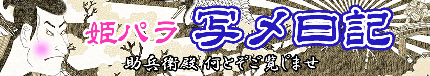 姫パラ写メ日記